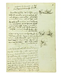 Codex über den Vogelflug, Folio 6 recto